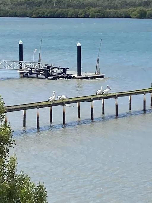 Waterfront, Deep Water Pontoon, Views To Straddie Russell Island